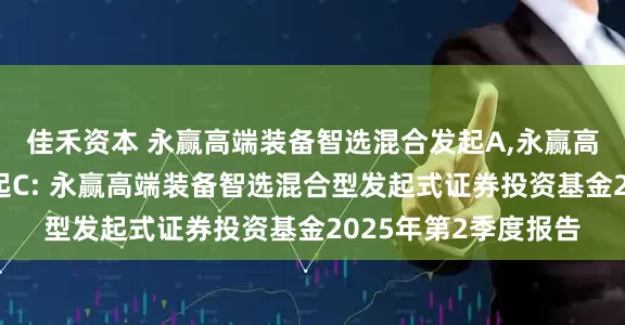 佳禾资本 永赢高端装备智选混合发起A,永赢高端装备智选混合发起C: 永赢高端装备智选混合型发起式证券投资基金2025年第2季度报告