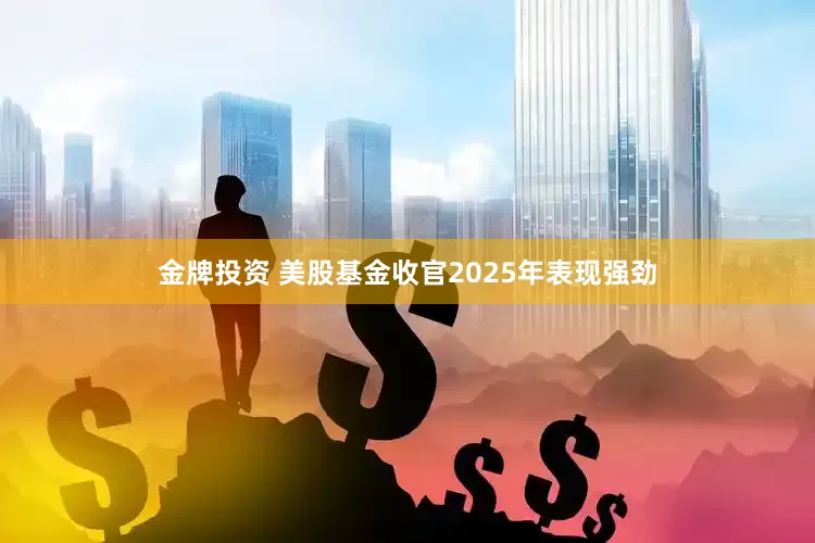 金牌投资 美股基金收官2025年表现强劲